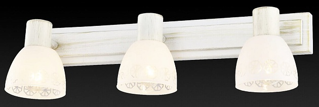 Спот Toplight Shona TL3740Y-03WG изображение 3 Спот Toplight Shona TL3740Y-03WG Фото № 3