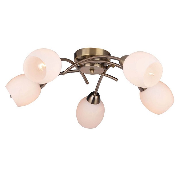 Потолочная люстра Toplight Merry TL3780X-05AB Фото № 