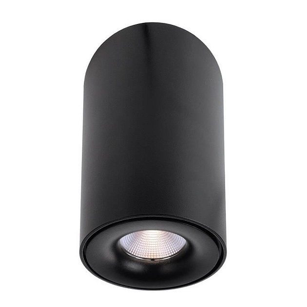Накладной светильник Deko-Light Bengala LED 348030 Фото № 