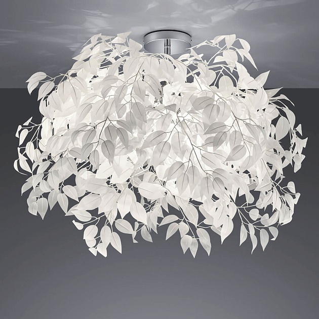 Потолочная люстра Lussole Lgo IDAHO GRLSP-0199 Фото № 2