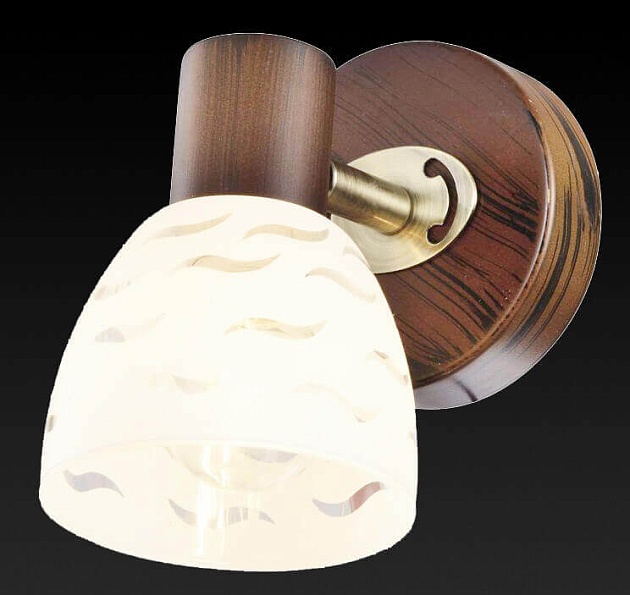 Спот Toplight Shayla TL3730Y-01BB Фото № 3