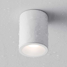 Потолочный светильник Maytoni Antares C029CL-01W 1