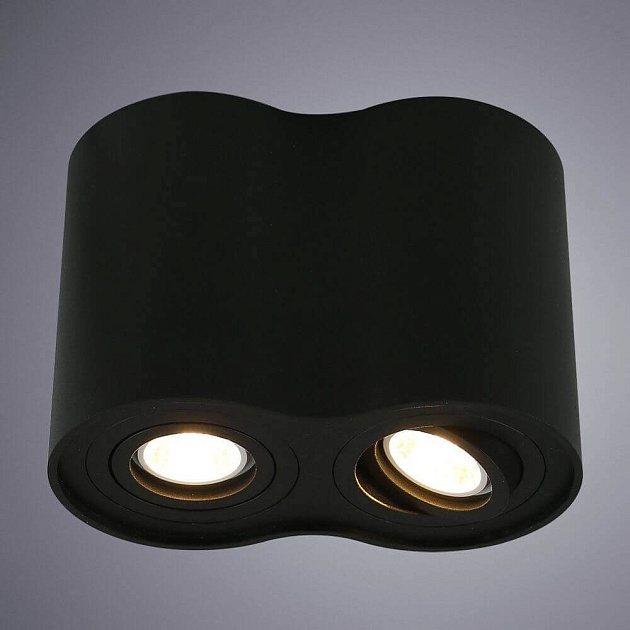 Потолочный светильник Arte Lamp A5644PL-2BK Фото № 2