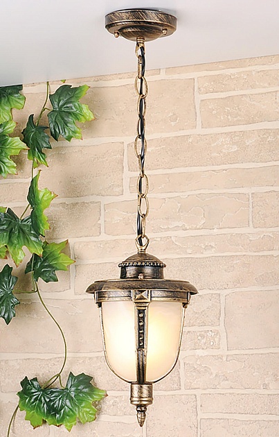 Уличный подвесной светильник Elektrostandard Atlas a028009 изображение 3 Уличный подвесной светильник Elektrostandard Atlas a028009 Фото № 3