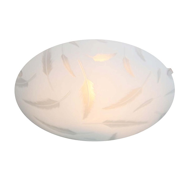 Настенно-потолочный светильник Apeyron 16-179 изображение Настенно-потолочный светильник Apeyron 16-179 Фото №