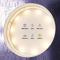 Светодиодная влагозащищенная лента Maytoni Technical 7,2W/m 30LED/m 5050SMD теплый белый 5M 10163 2