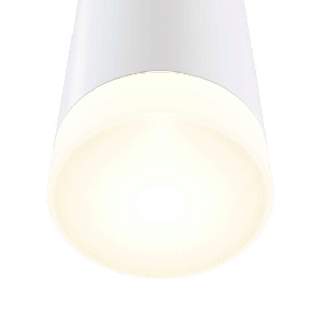 Настенный светильник Maytoni Dafne C027WL-L10W Фото № 6