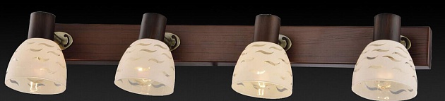 Спот Toplight Shayla TL3730Y-04BB изображение 3 Спот Toplight Shayla TL3730Y-04BB Фото № 3