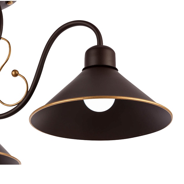 Потолочная люстра Evoluce Ciolla SLE120402-03 Фото № 2