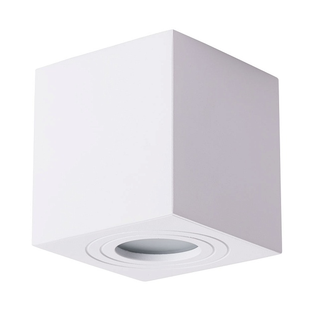 Потолочный светильник Arte Lamp Galopin A1461PL-1WH Фото № 