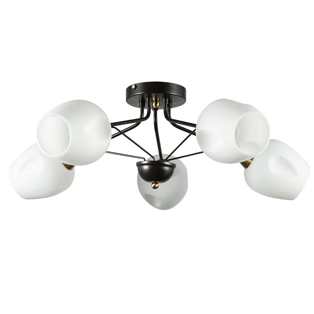 Потолочная люстра Arte Lamp Brighton A2706PL-5CK Фото № 