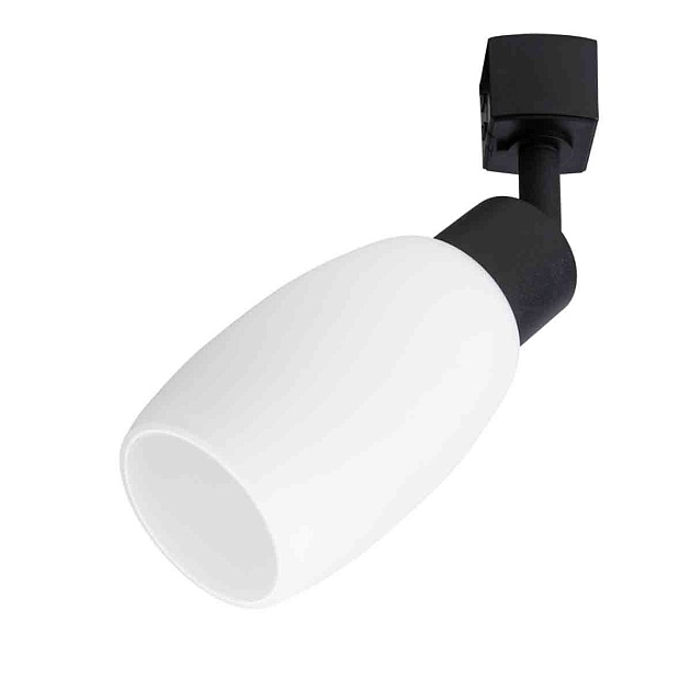 Трековый светильник Arte Lamp Miia A3055PL-1BK Фото № 