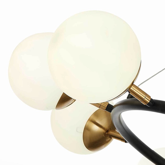 Подвесная люстра Evoluce FORLI SLE220403-10 Фото № 2