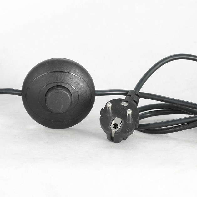 Торшер Lussole Lgo Idaho LSP-0575 Фото № 2