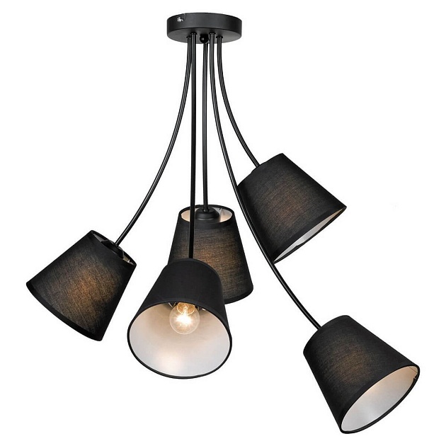 Подвесная люстра Lussole Lgo Lafayette LSP-8266 Фото № 