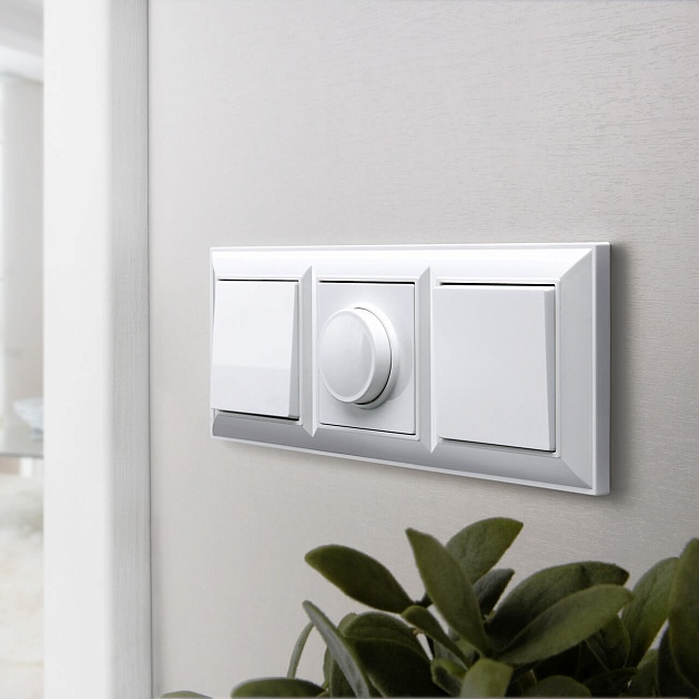 Диммер Werkel белый W1142001 4690389155253 Фото № 7