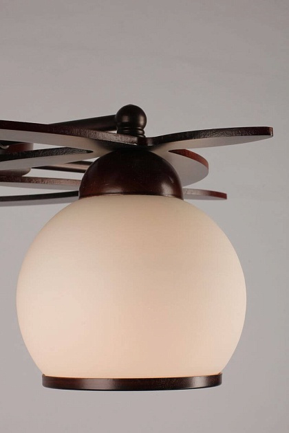 Потолочная люстра Omnilux OML-50507-05 изображение 4 Потолочная люстра Omnilux OML-50507-05 Фото № 4