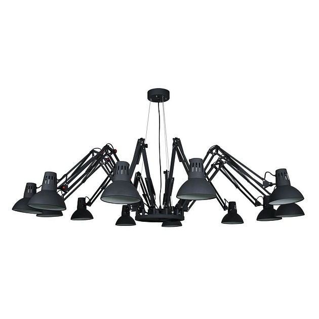 Подвесная люстра Arte Lamp Ragno A2043SP-12BK изображение Подвесная люстра Arte Lamp Ragno A2043SP-12BK Фото №