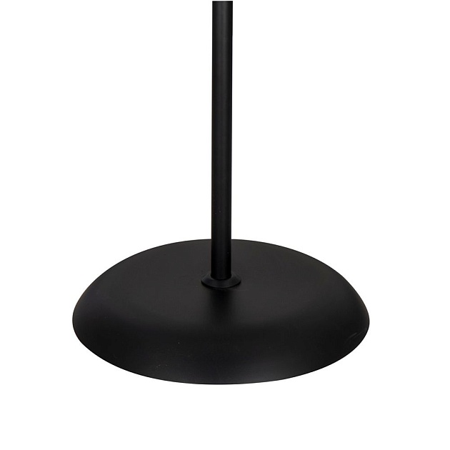 Торшер Arte Lamp Duetto A9569PN-2BK изображение 2 Торшер Arte Lamp Duetto A9569PN-2BK Фото № 2