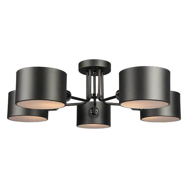 Потолочная люстра Omnilux Lisera OML-54507-05 Фото № 