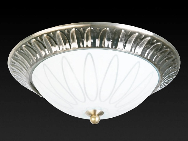 Накладной светильник Toplight Paulina TL5050Y-02AB Фото № 2