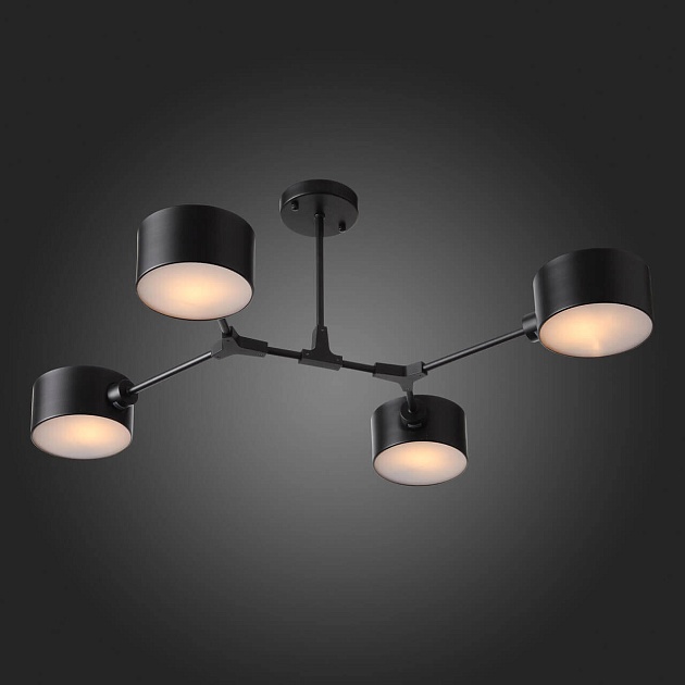 Потолочная люстра Evoluce Gimento SLE183402-04 изображение 4 Потолочная люстра Evoluce Gimento SLE183402-04 Фото № 4