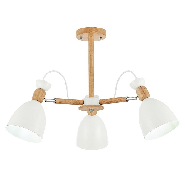 Потолочная люстра Evoluce Balcamo SLE103802-03 Фото № 