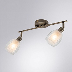 Спот Arte Lamp Biham A3184PL-2AB 3