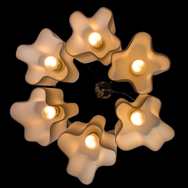 Подвесная люстра Arte Lamp 18 A3479SP-6CC Фото № 2