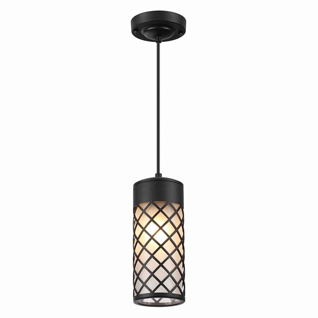 Уличный подвесной светильник Odeon Light Nature Dunes 4834/1 Фото № 2