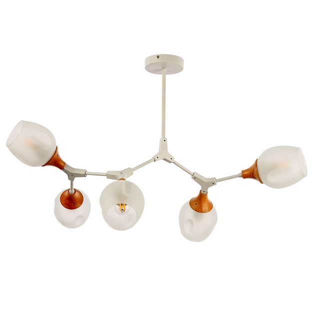 Потолочная люстра Evoluce Ciotolla SLE113502-05 Фото № 