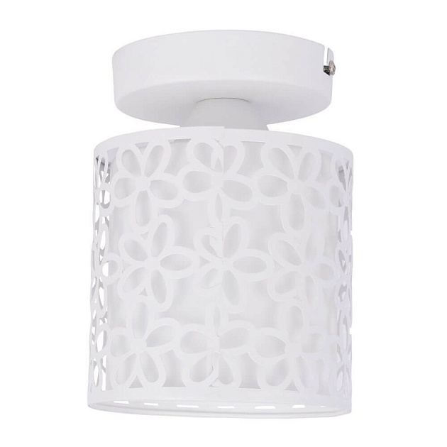 Потолочный светильник Arte Lamp Traforato A8349PL-1WH Фото № 