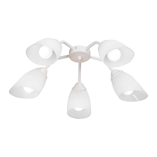 Потолочная люстра Vitaluce V3195/5PL изображение Потолочная люстра Vitaluce V3195/5PL Фото №