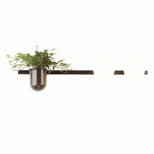 Настенный светильник Odeon Light Walli Flower 4681/2W Фото № 2