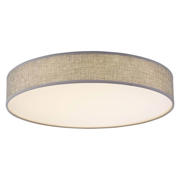 Потолочный светодиодный светильник Globo Paco 15185D2 Фото № 