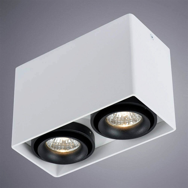 Потолочный светильник Arte Lamp A5655PL-2WH Фото № 2