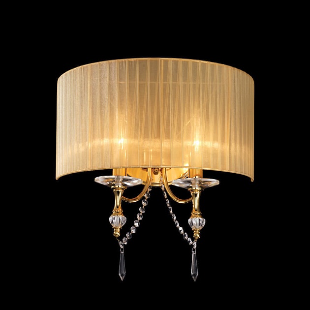 Настенный светильник Lightstar Paralume 725623 Фото № 3