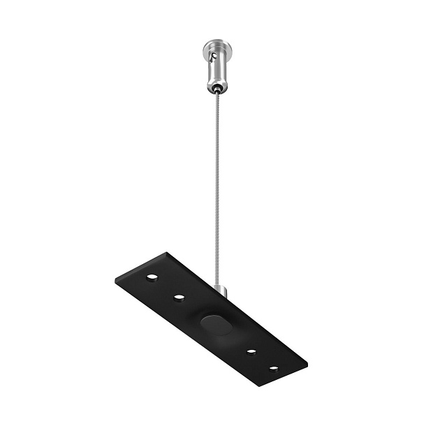 Подвес Maytoni Technical Exility Busbur TRA034SW-2B Фото № 4