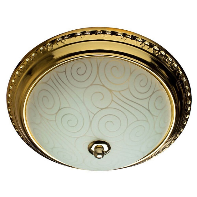 Потолочный светильник Arte Lamp 28 A3013PL-2GO Фото № 