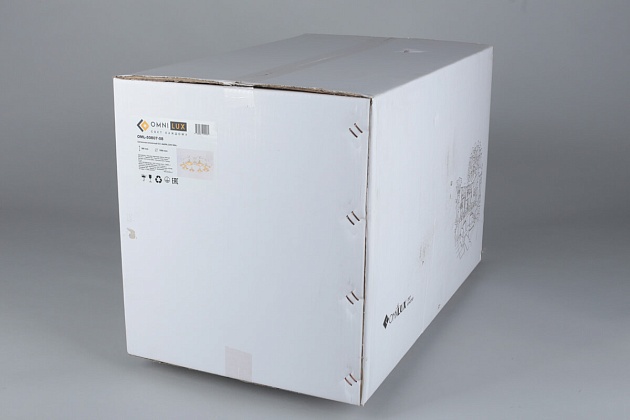 Потолочная люстра Omnilux Torri OML-50807-08 Фото № 3