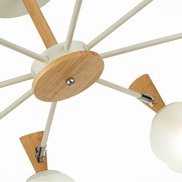 Потолочная люстра Evoluce Catania SLE220702-08 изображение 2 Потолочная люстра Evoluce Catania SLE220702-08 Фото № 2