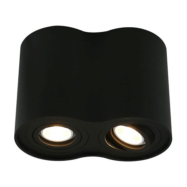 Потолочный светильник Arte Lamp A5644PL-2BK Фото № 