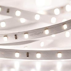 Светодиодная лента Arlight 7,2W/m 60LED/m 2835SMD дневной белый 5M 020012(2) 2