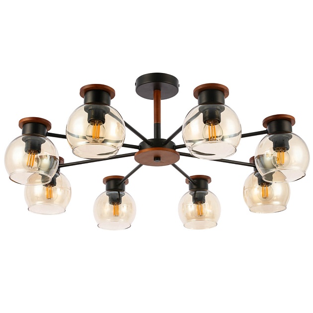 Потолочная люстра Evoluce Rasco SLE108102-08 изображение Потолочная люстра Evoluce Rasco SLE108102-08 Фото №