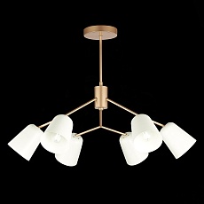 Подвесная люстра Evoluce Mario SLE155902-06 1