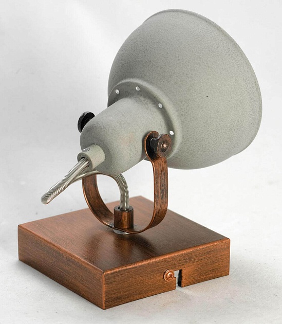 Спот Lussole Loft Diana GRLSP-9828 изображение 3 Спот Lussole Loft Diana GRLSP-9828 Фото № 3