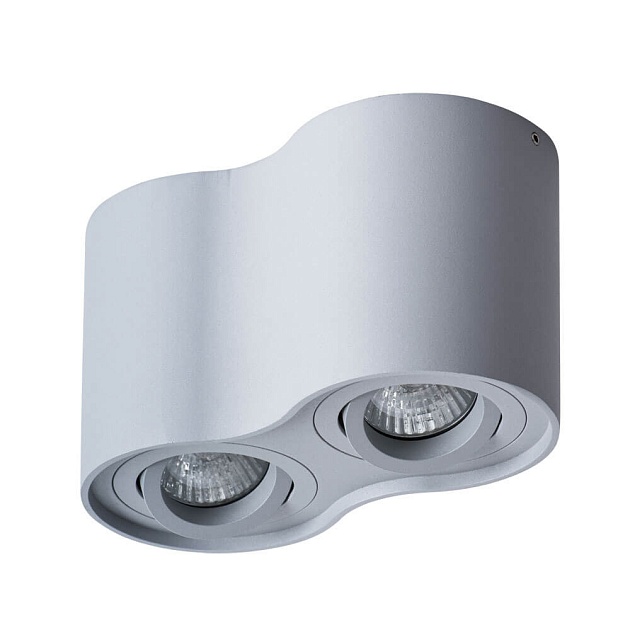 Потолочный светильник Arte Lamp Falcon A5645PL-2GY Фото № 
