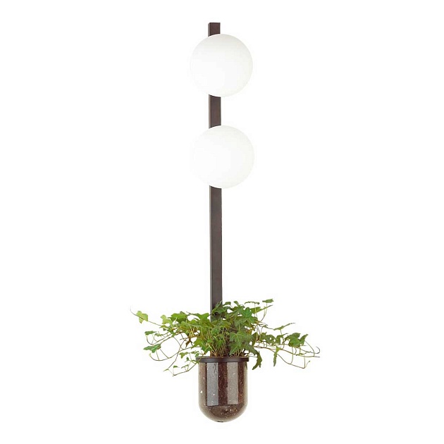 Настенный светильник Odeon Light Walli Flower 4681/2WA Фото № 