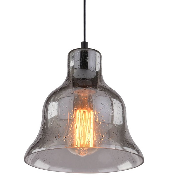 Подвесной светильник Arte Lamp Amiata A4255SP-1SM Фото № 2