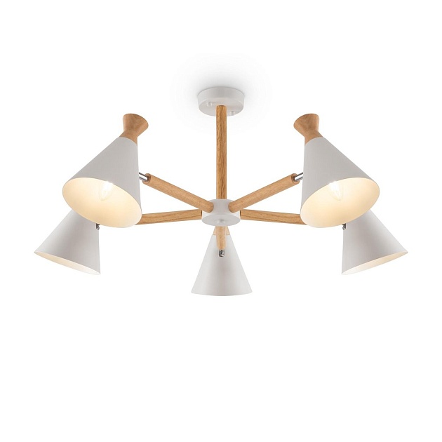 Потолочная люстра Freya Rise FR5169PL-05W Фото № 